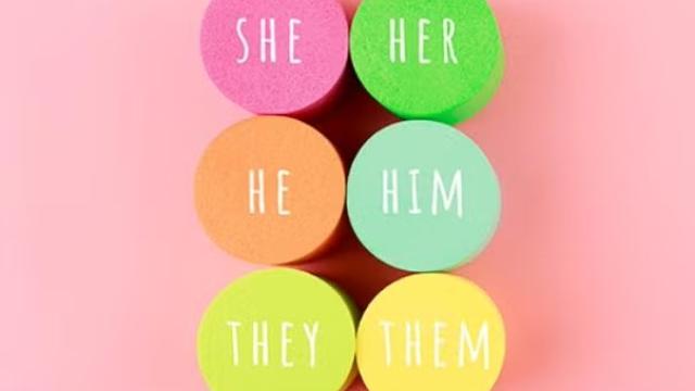 Illustrations of pronouns in business travel.