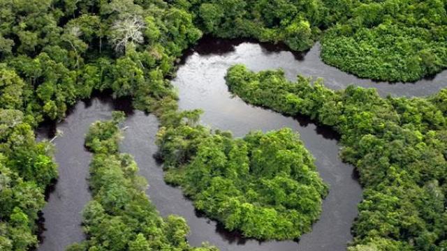 An aerial shot of a winding road representing the Corporate Traveller Sustainability Report released in 2021. 