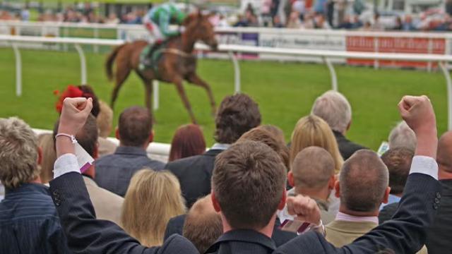 Business punters cheering at the Melbourne Cup, capturing the excitement and networking opportunities at this iconic horse racing event.