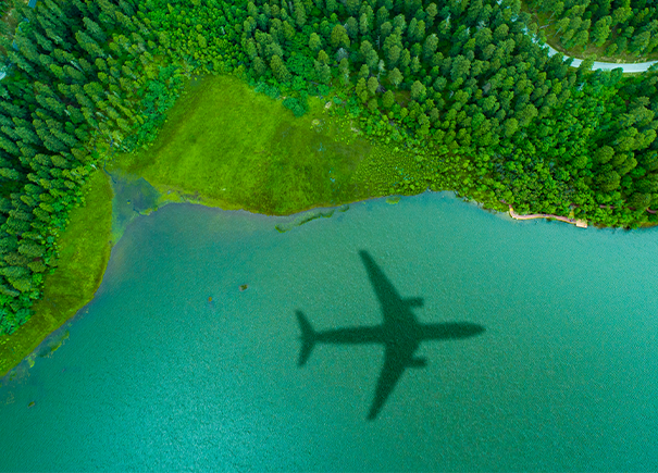 Plain flying over ocean and green forest
