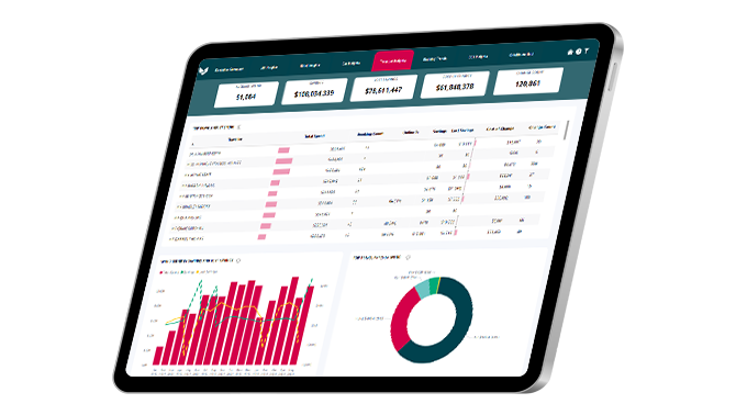 PowerBI-Traveller-Insights-HW