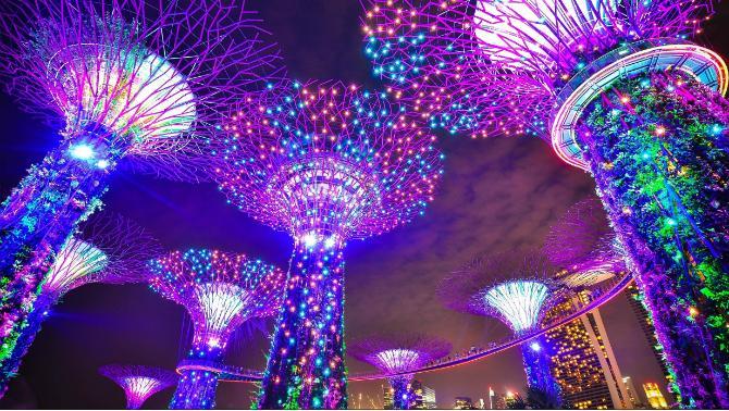 Supertree Grove at Gardens by the Bay, showcasing tourism attractions in the Singapore travel guide. 