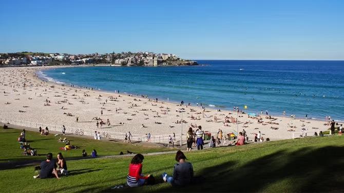 Beach scene, showcasing tourist attractions in the Sydney destination travel guide. 