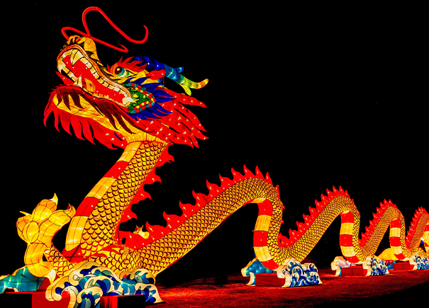 lunar new year dragon 