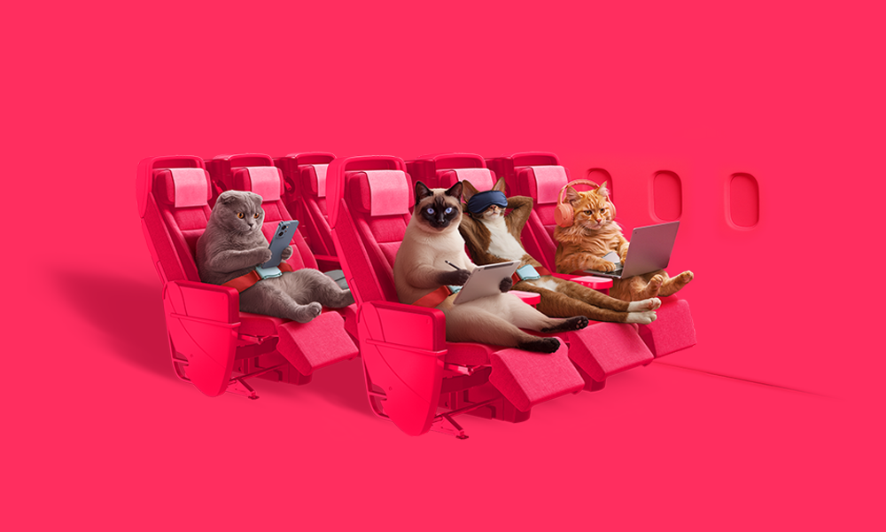 ct-hw-easy-as-cats-burst-1-lp