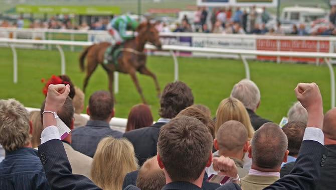 Business punters cheering at the Melbourne Cup, capturing the excitement and networking opportunities at this iconic horse racing event.