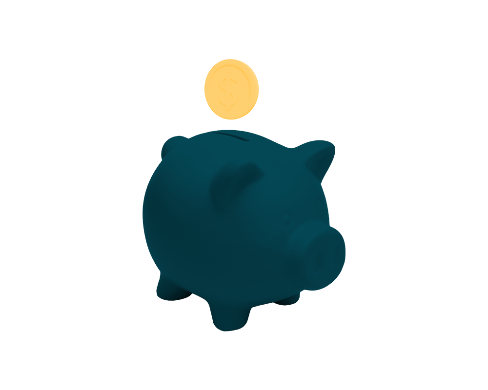 transparent pig