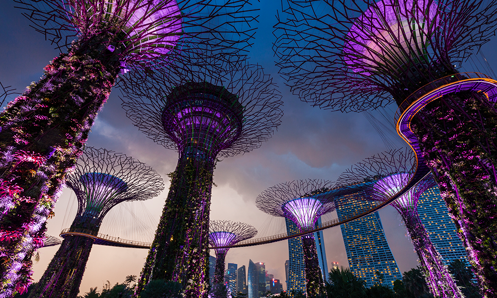 corporate travel management