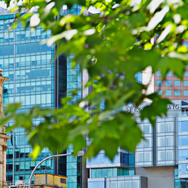 Adelaide leads the nation in corporate travel growth spend, up 23% YoY. Discover what’s fuelling its rise as Australia's newest business travel hotspot.